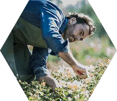 Muhasebe ve Mali Danışmanlık